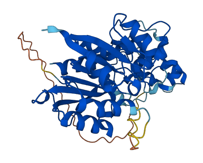 TRDMT1 3D structure