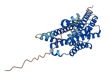 RRH 3D structure