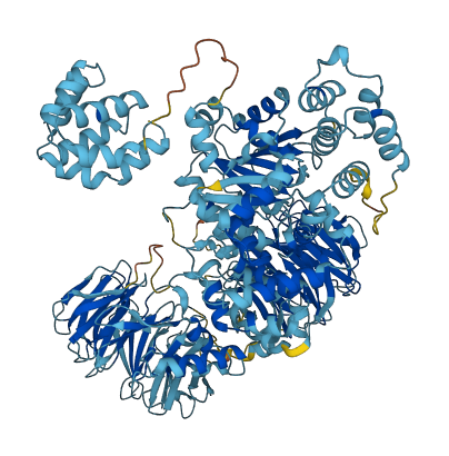 APAF1 3D structure