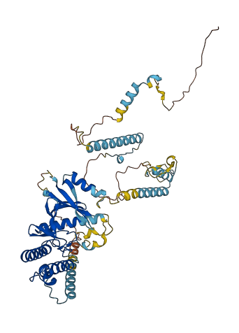 RIOK3 3D structure