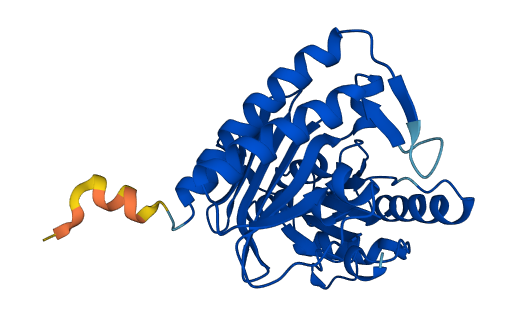 IMPA2 3D structure