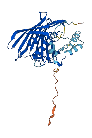 ACOT8 3D structure