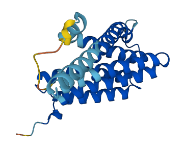 CDIPT 3D structure