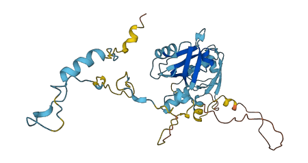 SLC9A3R1 3D structure