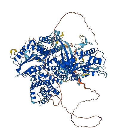 TERT 3D structure