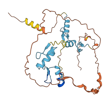 OVOL1 3D structure
