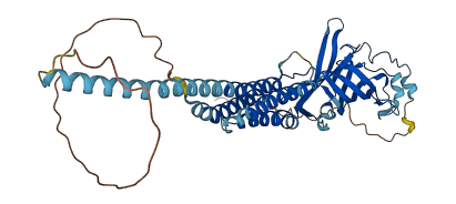 GABRD 3D structure