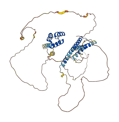 MEIS2 3D structure