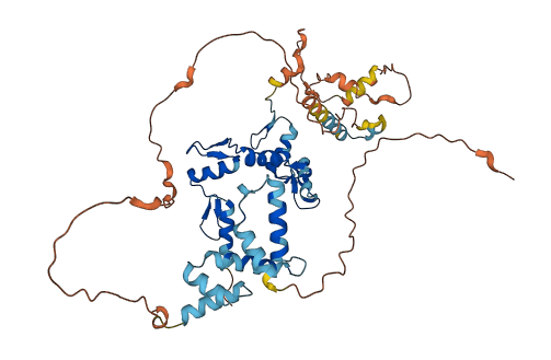 ZNF213 3D structure