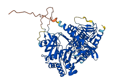 FPGT 3D structure