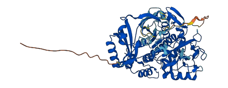 TPP1 3D structure