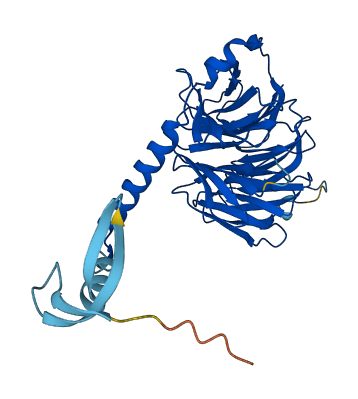 GNB5 3D structure