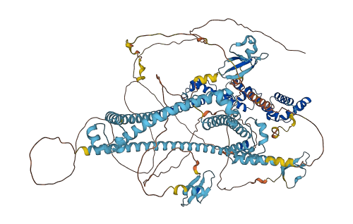 TCERG1 3D structure