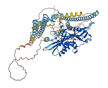 KIF3C 3D structure