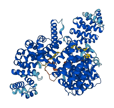 TNPO2 3D structure