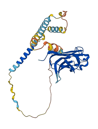 TNFSF11 3D structure