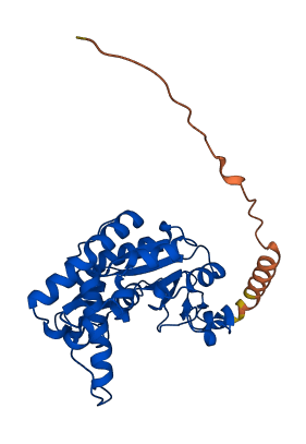 HS3ST1 3D structure