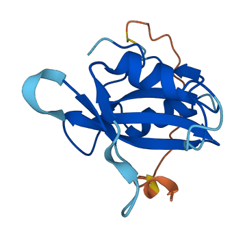 SH2D1B 3D structure