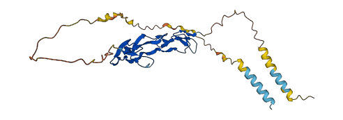 TNFRSF10C 3D structure