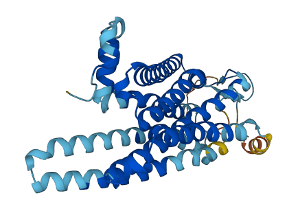 TAAR5 3D structure