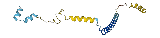CPLX1 3D structure