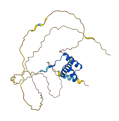 PHOX2A 3D structure