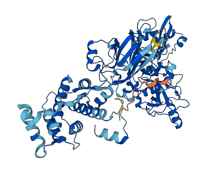 CAPN9 3D structure