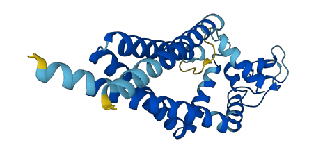 TSPAN4 3D structure