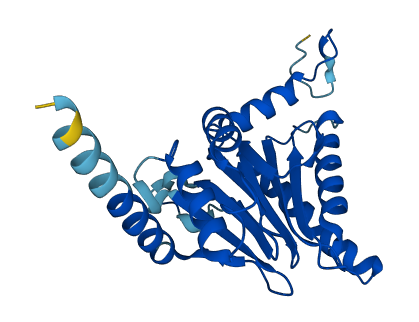 PSMA7 3D structure
