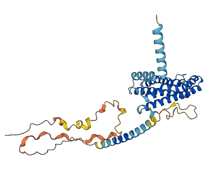 SCAMP3 3D structure