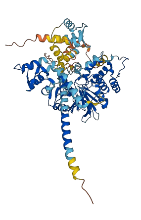 PPEF1 3D structure
