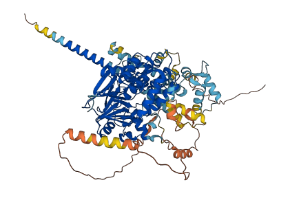 PPEF2 3D structure