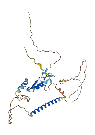 TNFRSF13B 3D structure