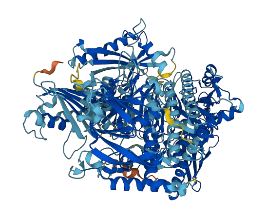 OPLAH 3D structure
