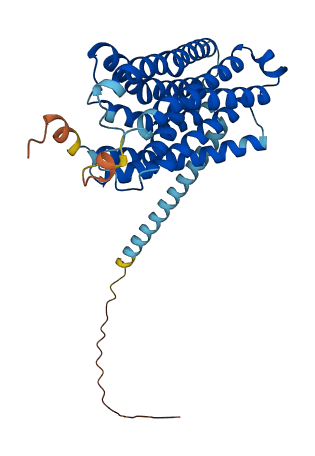 FFAR3 3D structure