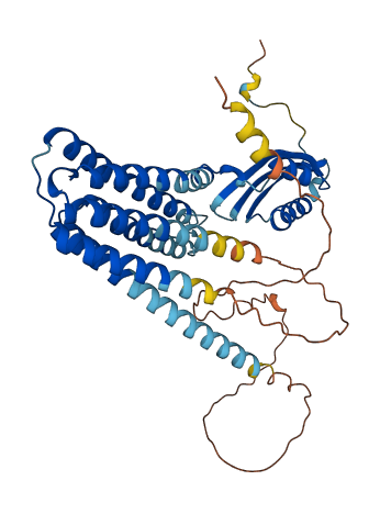 SLC30A4 3D structure