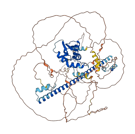 BACH1 3D structure