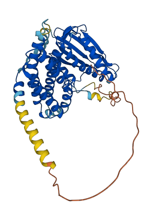 BCKDK 3D structure