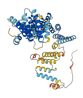 IFIT3 3D structure