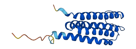 MGST3 3D structure