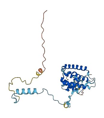 GEMIN2 3D structure