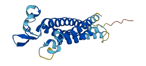 TM4SF5 3D structure