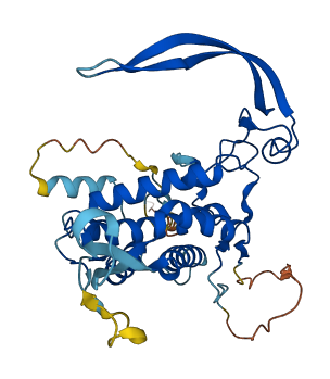 WNT9A 3D structure