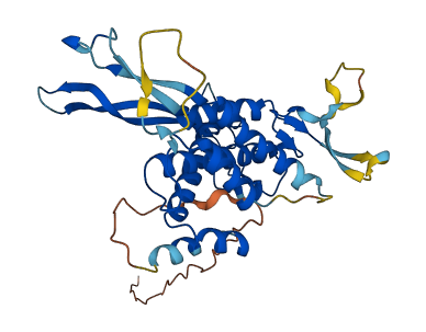 WNT9B 3D structure