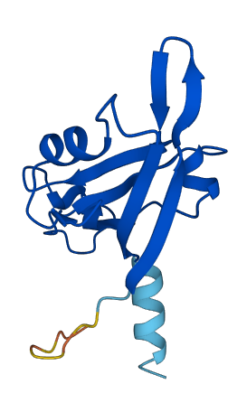 TAX1BP3 3D structure
