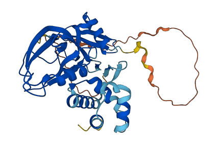 GIPC1 3D structure