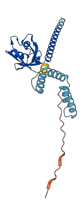 LIN7A 3D structure