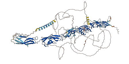 PCDH17 3D structure