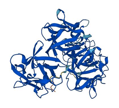 FSCN2 3D structure