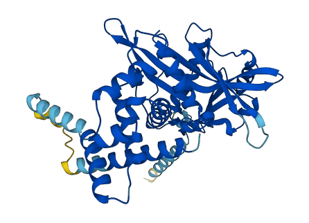 HAT1 3D structure